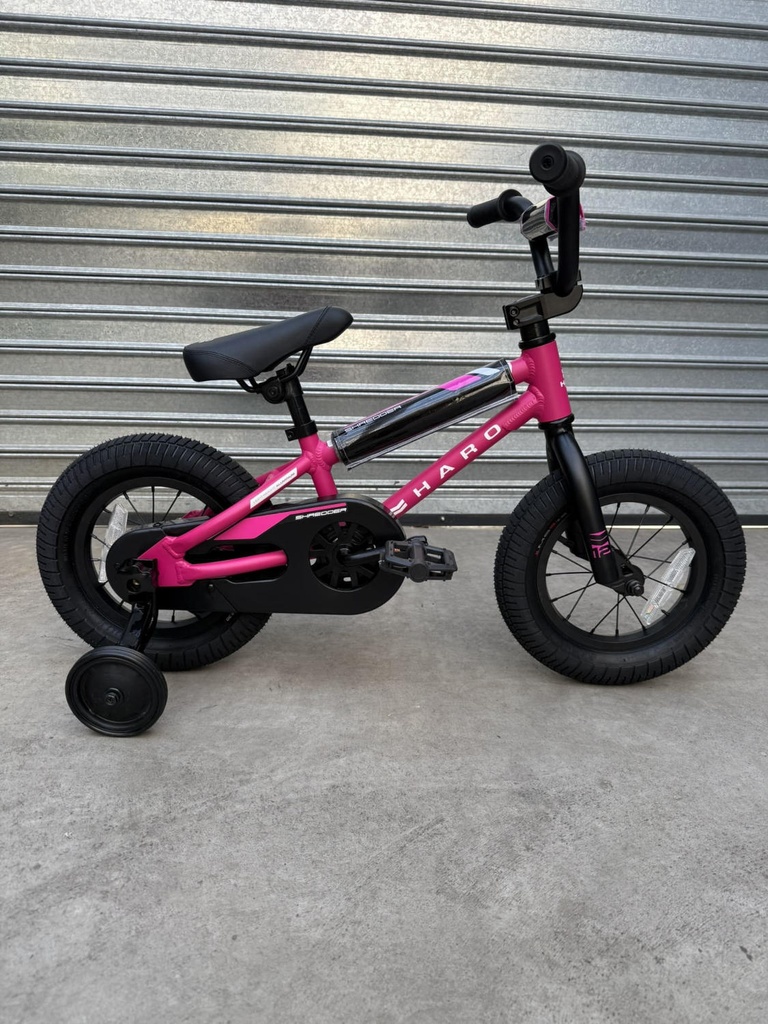 Bicicleta Haro Shredder 12"