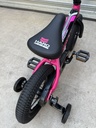 Bicicleta Haro Shredder 12"