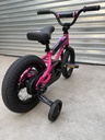 Bicicleta Haro Shredder 12"