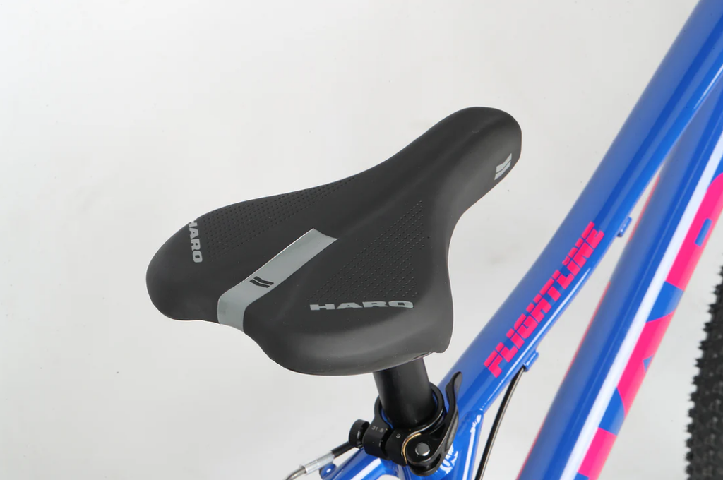Bicicleta Haro Flightline 20"