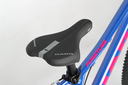 Bicicleta Haro Flightline 20"