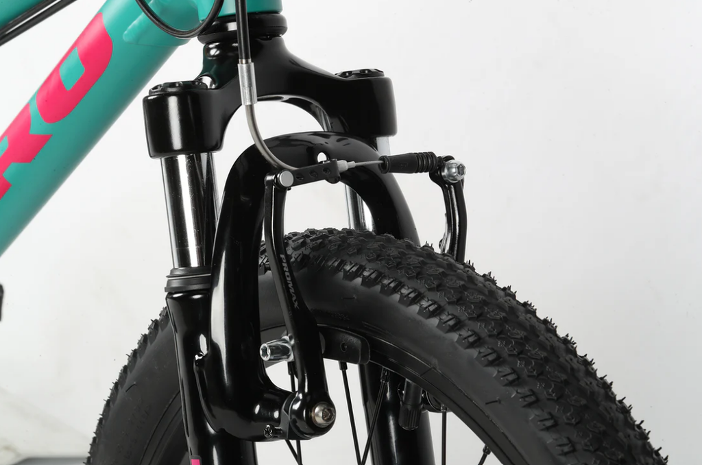 Bicicleta Haro Flightline 20"