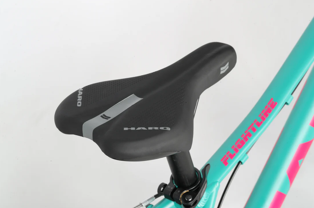Bicicleta Haro Flightline 20"