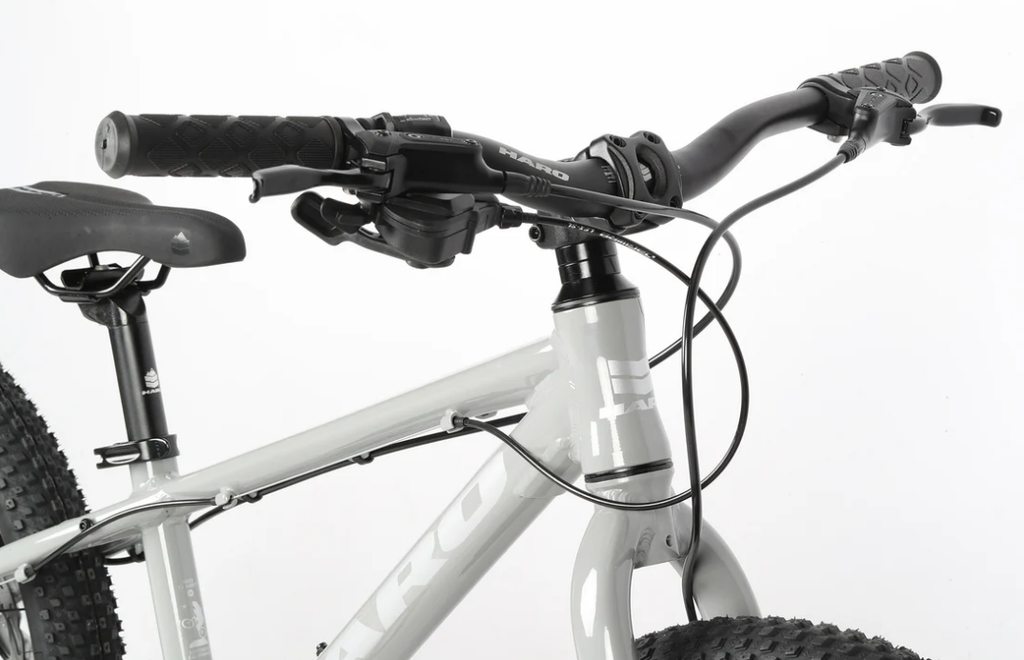 Bicicleta Haro Flightline 20"+ DS