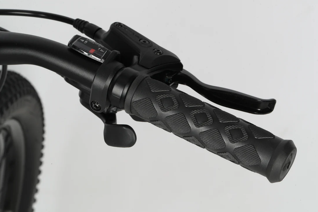 Bicicleta Haro Flightline 20"+ DS