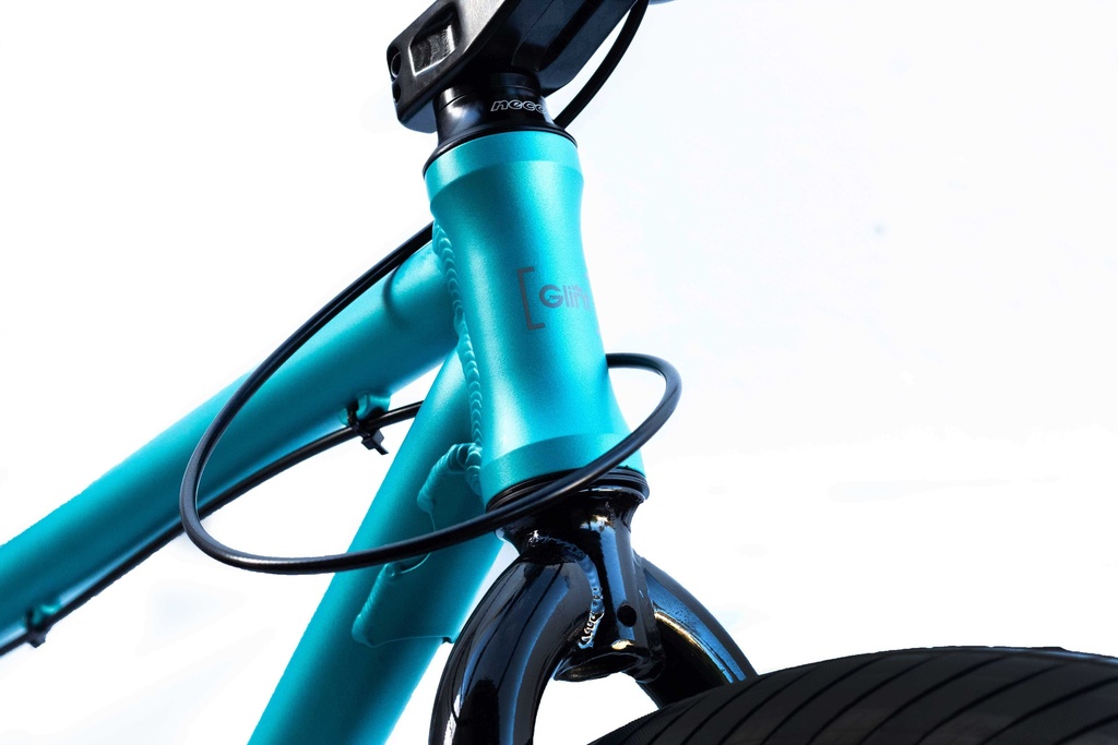 Bicicleta Glint 29" Comodore Stunt