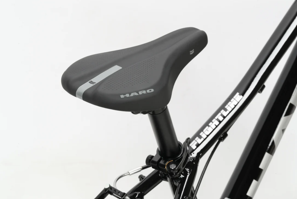 Bicicleta Haro Flightline 20"