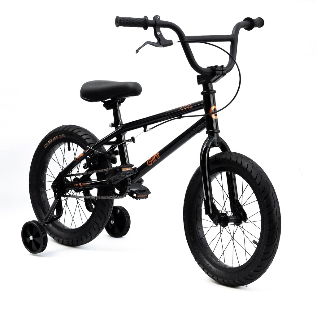 Bicicleta Glint Sully 16" BLACK EDITION con rueditas