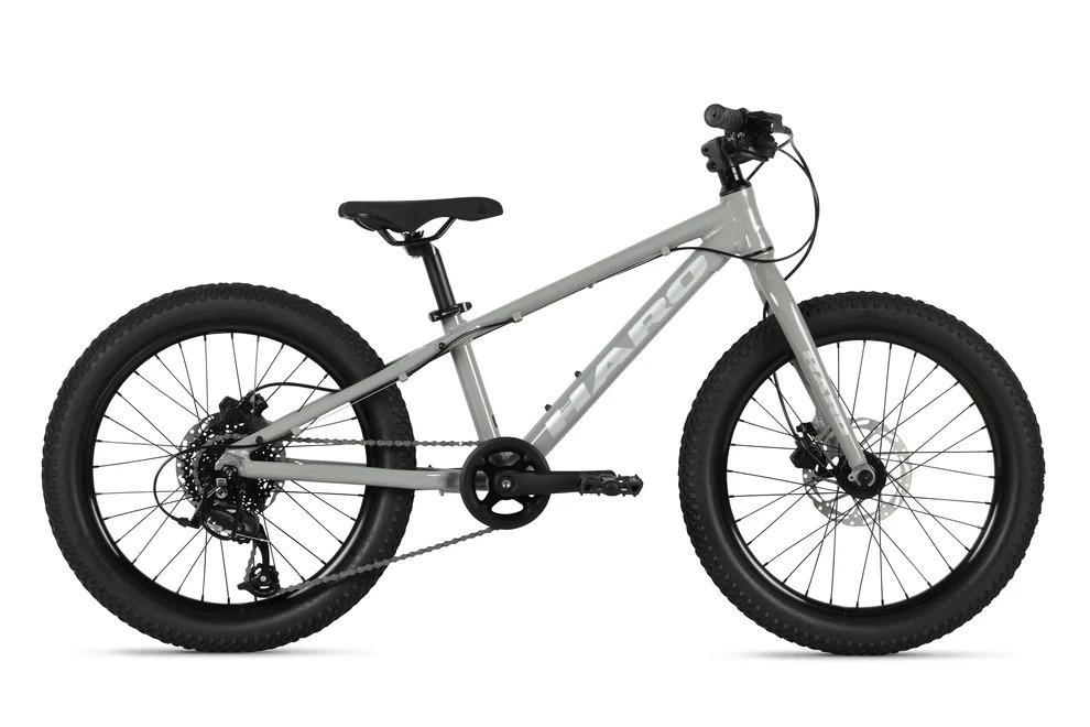 Bicicleta Haro Flightline 20"+ DS